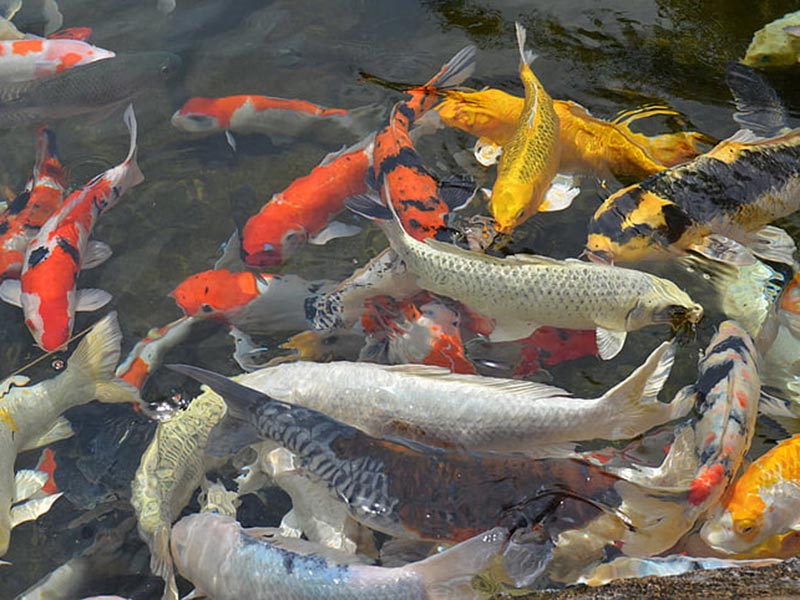 多參數水質監(jiān)測儀介紹